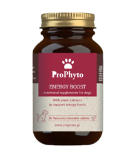 ProPhyto ENERGY BOOST